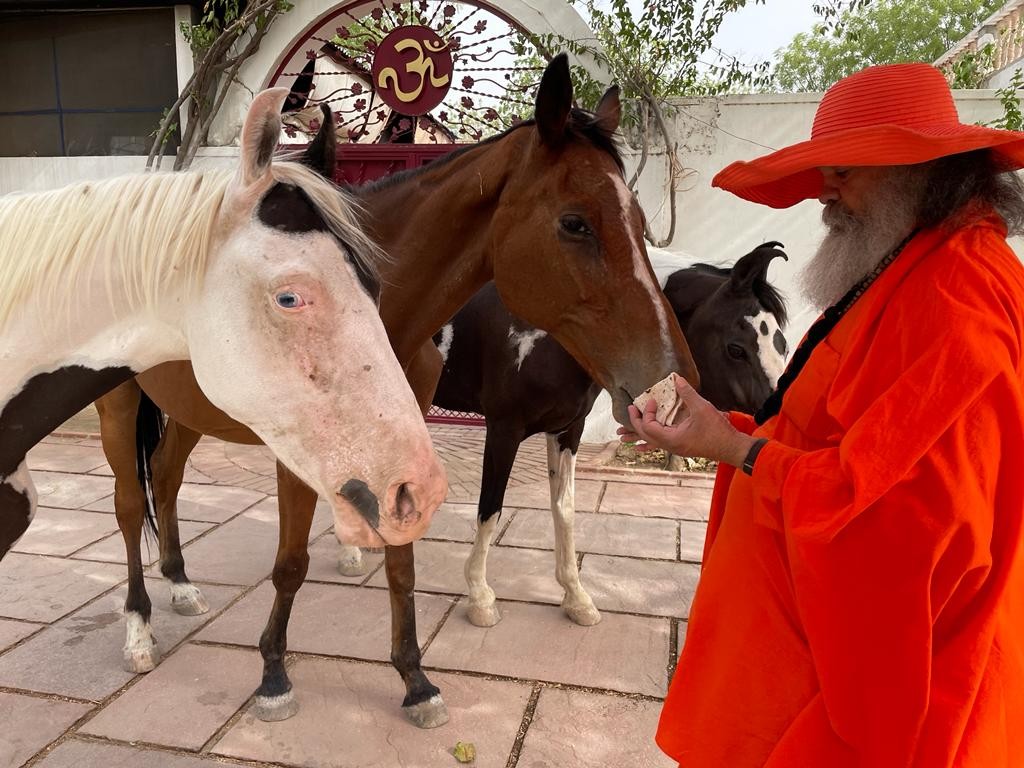 Vishwaguruji's darshan and blessings for all creatures