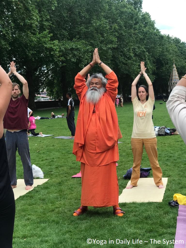 2019 06 21 IDY London Victoria Tower Gardens Vishwaguruji leading yoga asanas